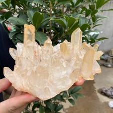 2.4lb Natural Clear White Quartz Crystal Cluster Rough Healing Specimen picture