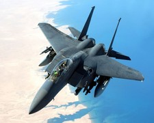 F 15 Eagle military aircraft vehicle American McDonnell Douglas 11x17 Poster picture