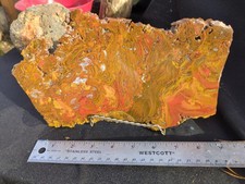 XL Kaleidoscope Jasper Slab (1lb 2oz) exclusively found in the PNW picture