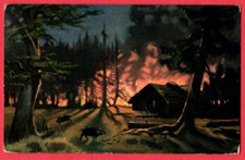 Forest Fire, Wild Boars VINTAGE PC. USED 2889 picture