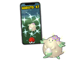 Pokemon Shiny Chansey Flower Mini P T C 60k picture