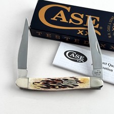 Case XX 10798 Muskrat Jigged Amber Bone 2-Blade Stainless Steel Pocket Knife picture