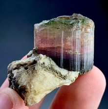 203 Carat Bi-Colour Tourmaline Crystal Specimen From Afghanistan picture