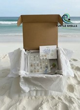 Hand picked Mini Shells Keepsake Box (36ct), Coastal Decor Gift Set picture