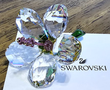 🌺 Swarovski Crystal 2025 