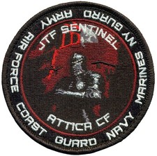 USAF 107th ATTACK WING – JOINT TASK FORCE SENTINEL  PATCH picture