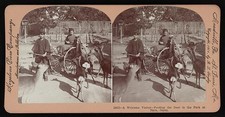 Photo:Nara Japan 1901 Deer Park Feeding Stereograph Deer Cart picture