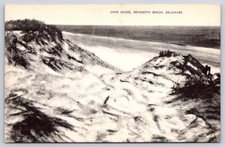Vintage Delaware Postcard REHOBOTH BEACH Sand Dunes 1940s picture