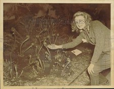 1940 Press Photo Ver Lundgren feeds a carnivorous cobra plant at Brooklyn Garden picture