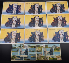 11 Vintage Mailing Novelty Fold Out Scottish Terrier Postcards picture