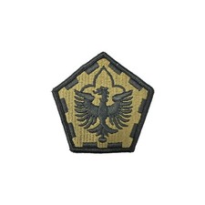 555th Engineer Brigade OCP Patch with Hook Fastener (each) picture
