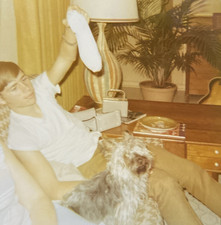 1970s Man Teasing Cairn Terrier w/ Sock Puppy Dog Couch Playing Orig Photo P20q4 picture