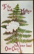 Antique Mother Postcard To The Best Mother Ever Lived Our Own Unused Buffalo NY picture