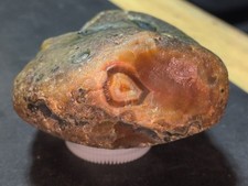 5.2oz Lake Superior Agate  picture