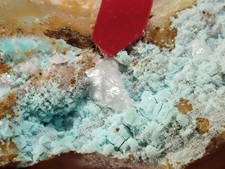 Rare Reticulated Cerussite & Chrysocolla Redmond Mine Haywood Co North Carolina picture
