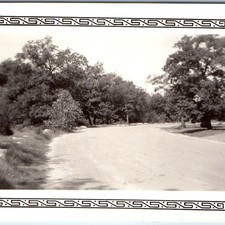 1940 Platt National Park Sulphur OK Road Forest Trees Vintage Snapshot Photo picture
