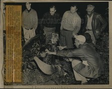 1948 Press Photo Inspector Charles Rising examines ruins of a twin engine plane picture