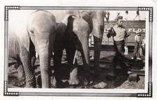 Ringling Bros. Traveling Circus Elephants Train Tracks Crowds Photo Snapshot Vtg picture