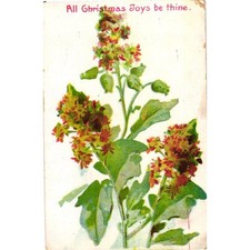 Antique Christmas Postcard Botanical Flower Litho Undivided All Joys Be Thine picture