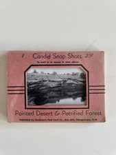 vintage souvenir photo booklet B/W painted desert & petrified forest picture