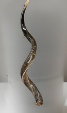 Shofar Yemenite Kudu Horn XXL 44”-48” New Natural KOSHER Made  USA picture