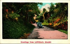 Generic Autos on Road Greetings From Lowman Idaho ID UNP DB Postcard B1 picture