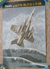 Faces of the F/A-18 F-5 T38 poster fighter jet USN USAF navy air force HTF picture