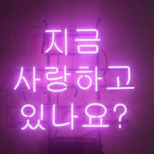 Korean Is He Loving You Now Neon Sign Beer Bar Gift 17