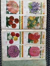 VTG rare 1950s-60s Asgrow Seed Salesman Sample Book 280+ Labels Accopress Binder picture