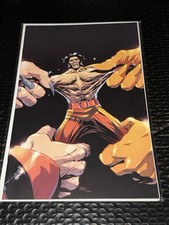 Wolverine #48 - 1:100 Virgin Variant - Leinil Yu - Marvel - 2024 - NM picture