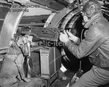WW2 8x10 Photo US AIR FORCE B-17 FLYING FORTRESS GUNNER W DOG O6880 picture
