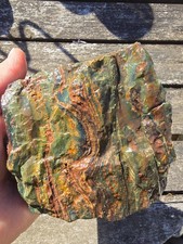 Oregon Petrified Wood Crook County Hampton Butte Area Green Red Rough 1lb 15.8oz picture