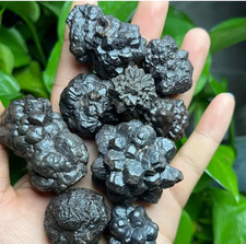 3 PCS Prophecy Stone Egypt , Prophecy Stone, Pseudomorph , Energy Crystal picture