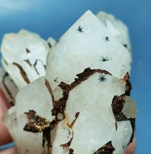 RARE Natural Hollandite Star Quartz CRYSTAL Point picture