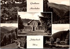 Gasthaus Auerhahn Stützerbach Germany Mountain Views Real Photo RPPC Postcard picture