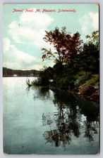 Vintage Postcard James' Pond Mt Pleasant Schenectady New York picture