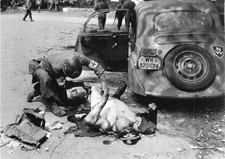 WWII B&W Photo Wounded German US Medic  WW2 World War Two US Army Germany  /2052 picture