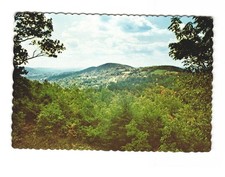 Looking forward to Spring? Skylands Realty Stockholm NJ VTG postcard UNP picture