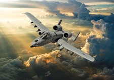 Fairchild Republic A-10 Thunderbolt II canvas print various sizes free delivery picture