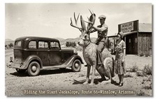 Vintage‑STYLE NEW ART 1930's RPPC-RIDING THE  JACKALOPE-ROUTE 66-WINSLOW--FAUX picture