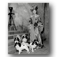 Ann Blyth Photo 8x10 The King's Thief Publicity Portrait Japanese Chin Dogs 1955 picture
