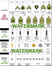 2025 UNITED STATES ARMY RANK CHART PHOTO REFERENCE ENLISTED OFFICER ALL SIZES picture