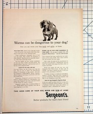 Vintage Sergeant's Dog Worm-Away Puppy Dachshund Magazine Ad Richmond VA picture