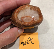 5.2 Oz Lake Superior Agate, banded eye within a quartz center, uncut rough, MN picture
