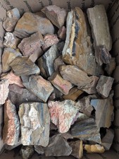 25+ lb Colorado Petrified Wood Bulk Rough – Parker Divide Med Flat Rate Box Full picture