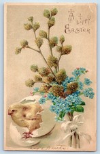 1907 Easter Little Chick Hatched Egg And Flowers Embossed Antique Postcard picture