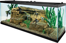 Complete LED Aquarium Kit 55 Gallons with Filter Heater Accessories picture