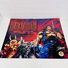 Black Thorne Electronic Gaming Monthly Poster 1994 picture