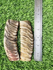 LOT OF 7 PAIRS 4 BUFFALO HORN SCALE , 2 COLOURED BONE SCALE , 1 RAM HORN SCALES picture