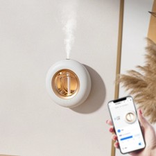 Luxury LED Light Ultrasonic Aroma Humidifier Electric Room Aroma Cool Mist Air picture